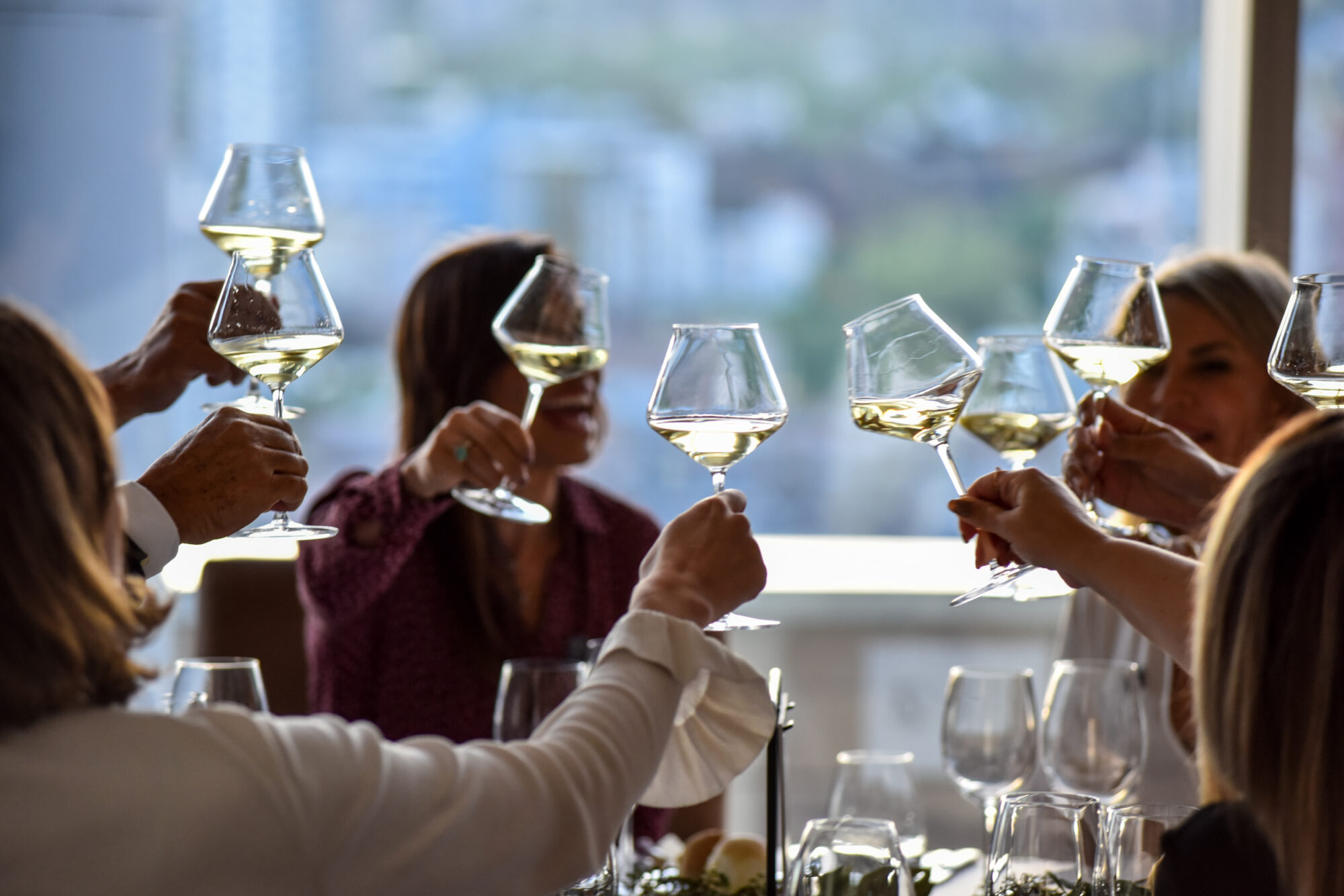 Ruta del Vino en Mendoza. Brindis. Excursiones en Mendoza.