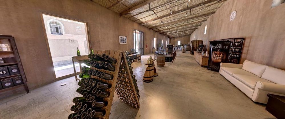 Excursión grupal de vinos. Ruta del vino en Mendoza.