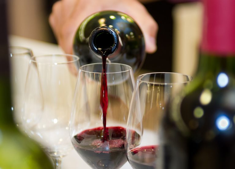 cosecha en bodega de mendoza. Excursión por la ruta del vino.
