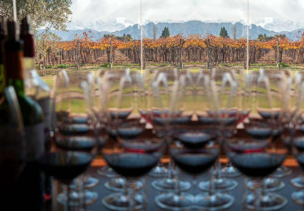 Tour de vinos en Mendoza. Turismo del vino en Mendoza. Degustaciones y visitas.