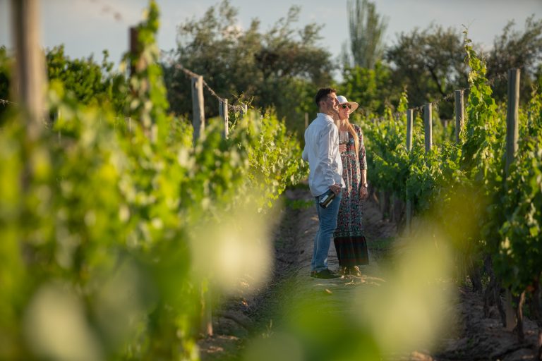 Ruta del Vino en Mendoza. Viñedos.