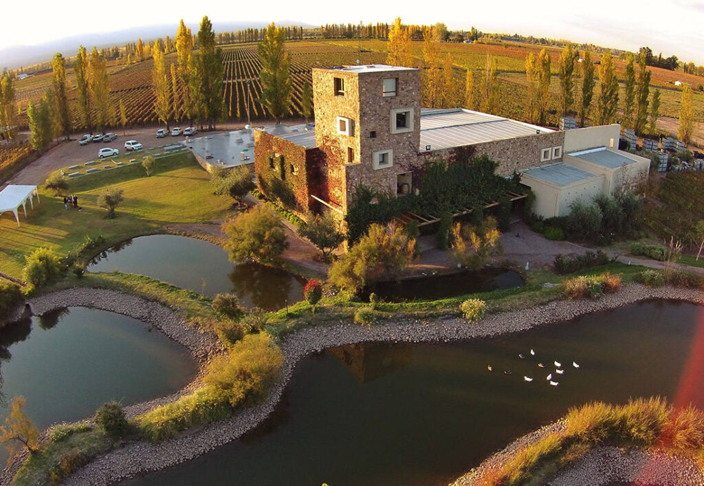 Ruta del Vino en Mendoza. Bodega Renacer. Excursión.