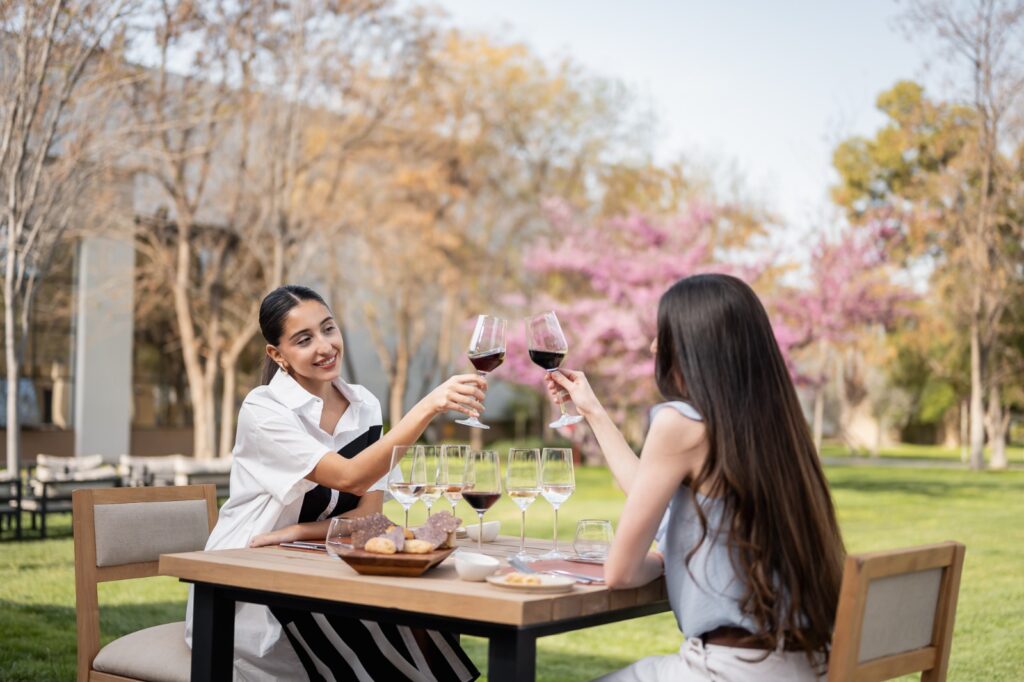 Ruta del vino en Maipú. Bodega Trivento. Almuerzo en bodegas.