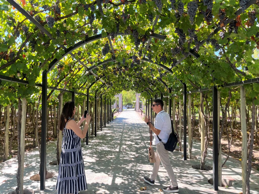 Ruta del vino Mendoza. Tour de vinos a casa vigil el enemigo.