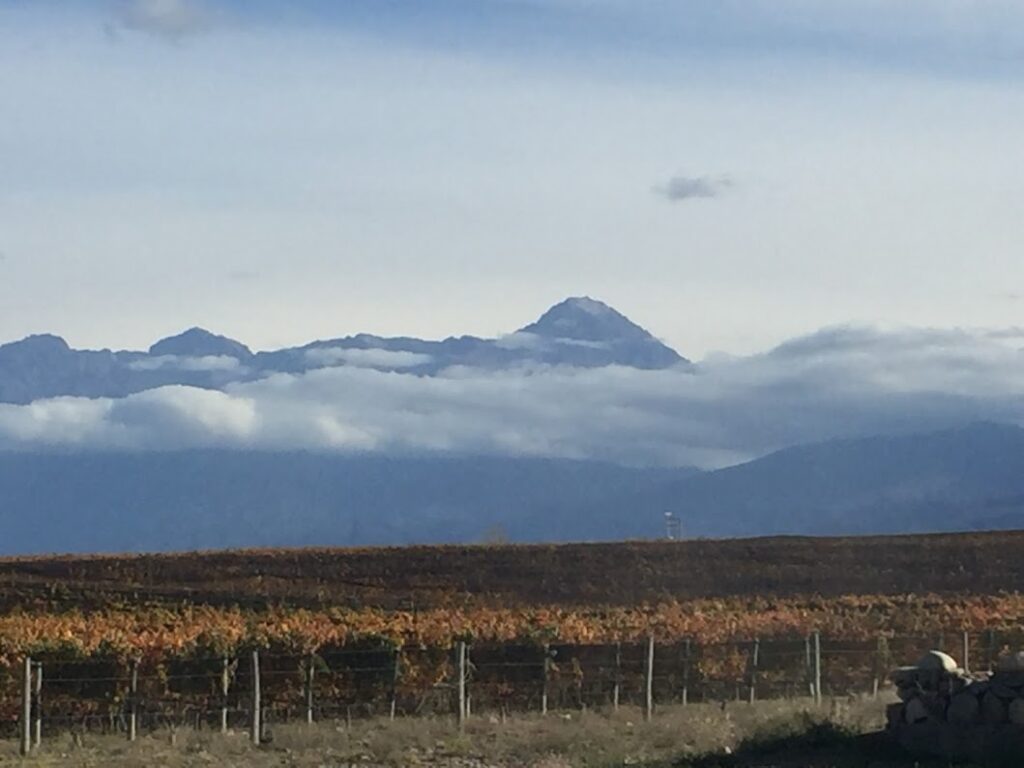paisajes valle de uco tour de vino bodega salentein