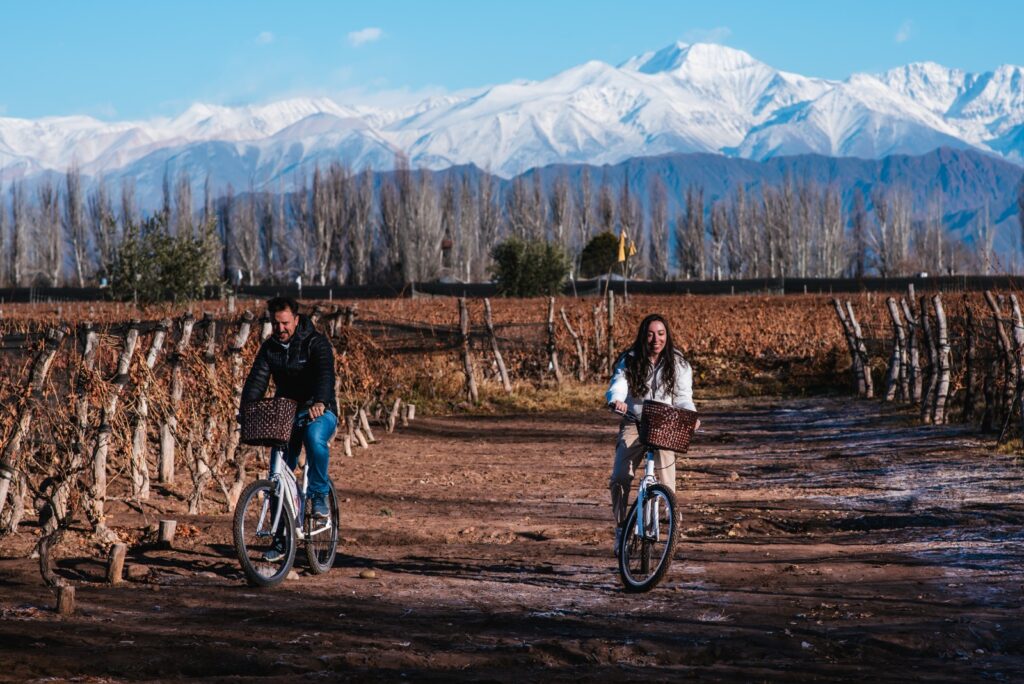 paseo en bicicleta por la ruta del vino mendoza

