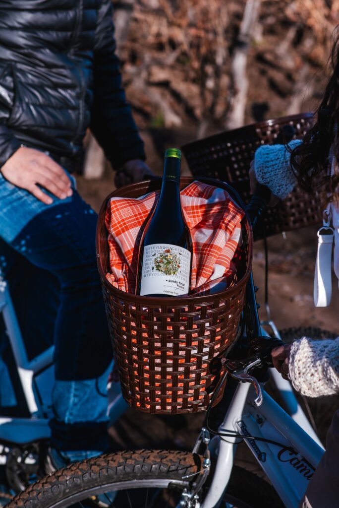 paseo en bicicleta por la ruta del vino mendoza
