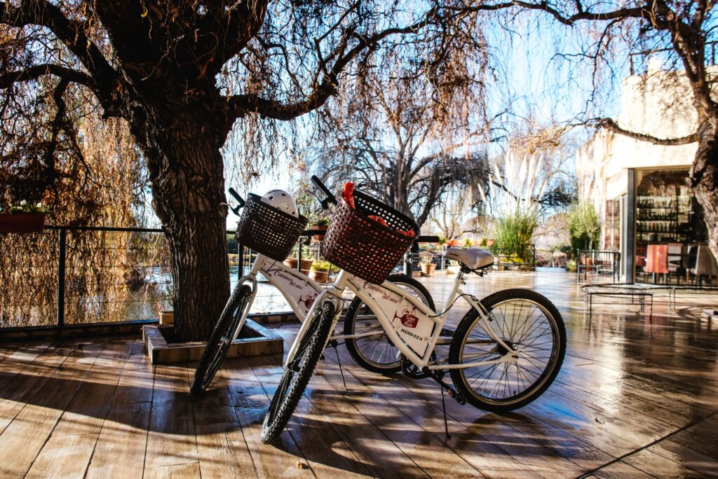 paseo en bicicleta por la ruta del vino mendoza
