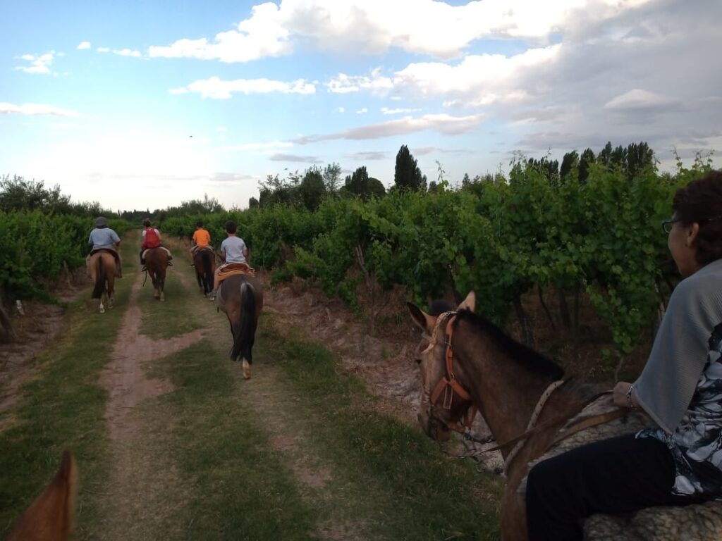 Cabalgata guiada entre viñedos en Mendoza por agencia Vive Los Andes.
