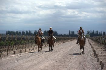 Cabalgata guiada por viñedos en Mendoza con la cordillera de fondo - Vive Los Andes