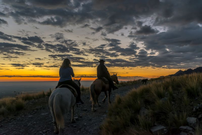 Cabalgata al atardecer guiada por viñedos en Mendoza con la cordillera de fondo - Vive Los Andes