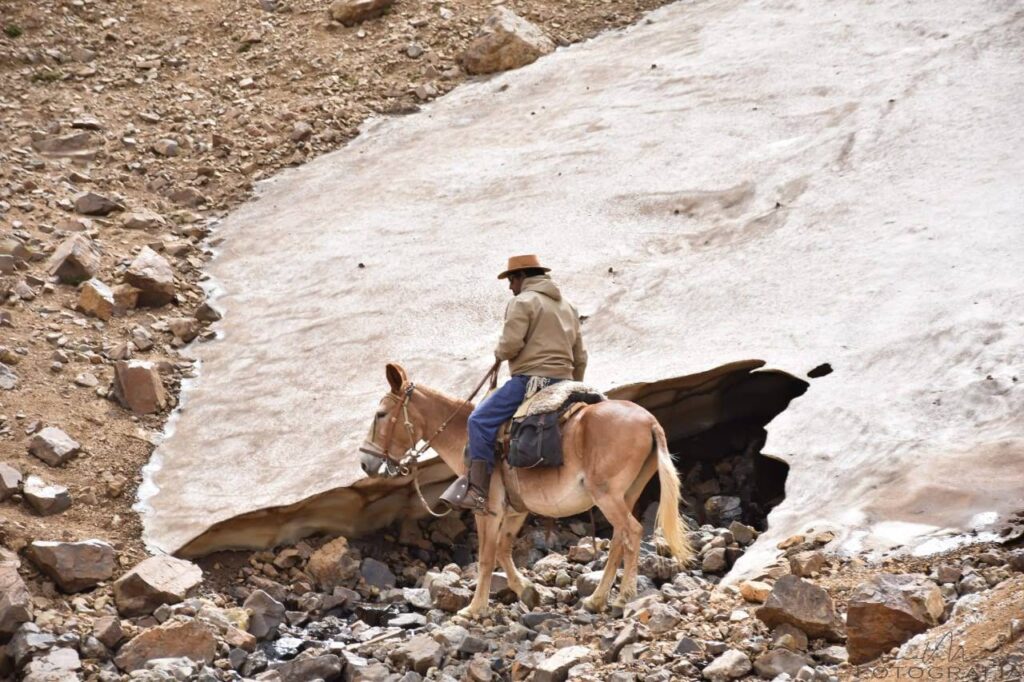Jinete junto a un glaciar durante la expedicón al avión de los uruguayos en malargüe